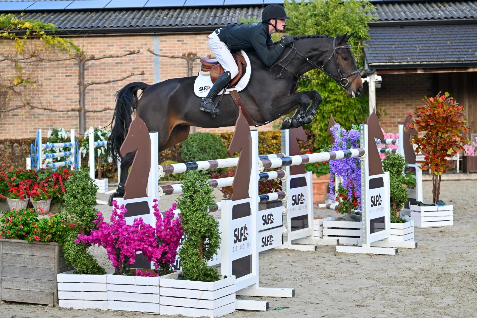 Champions Music Z: Chianti’s Champion x Emerald van ‘t Ruytershof 2020