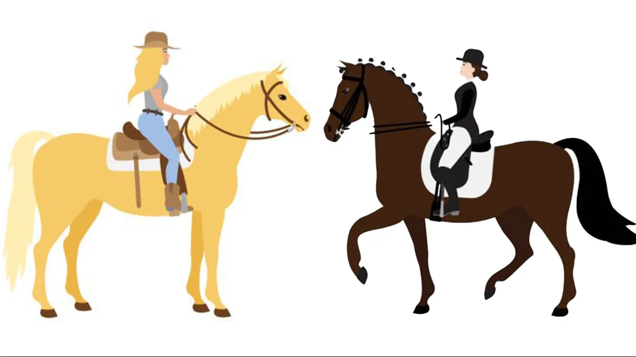 dressage western