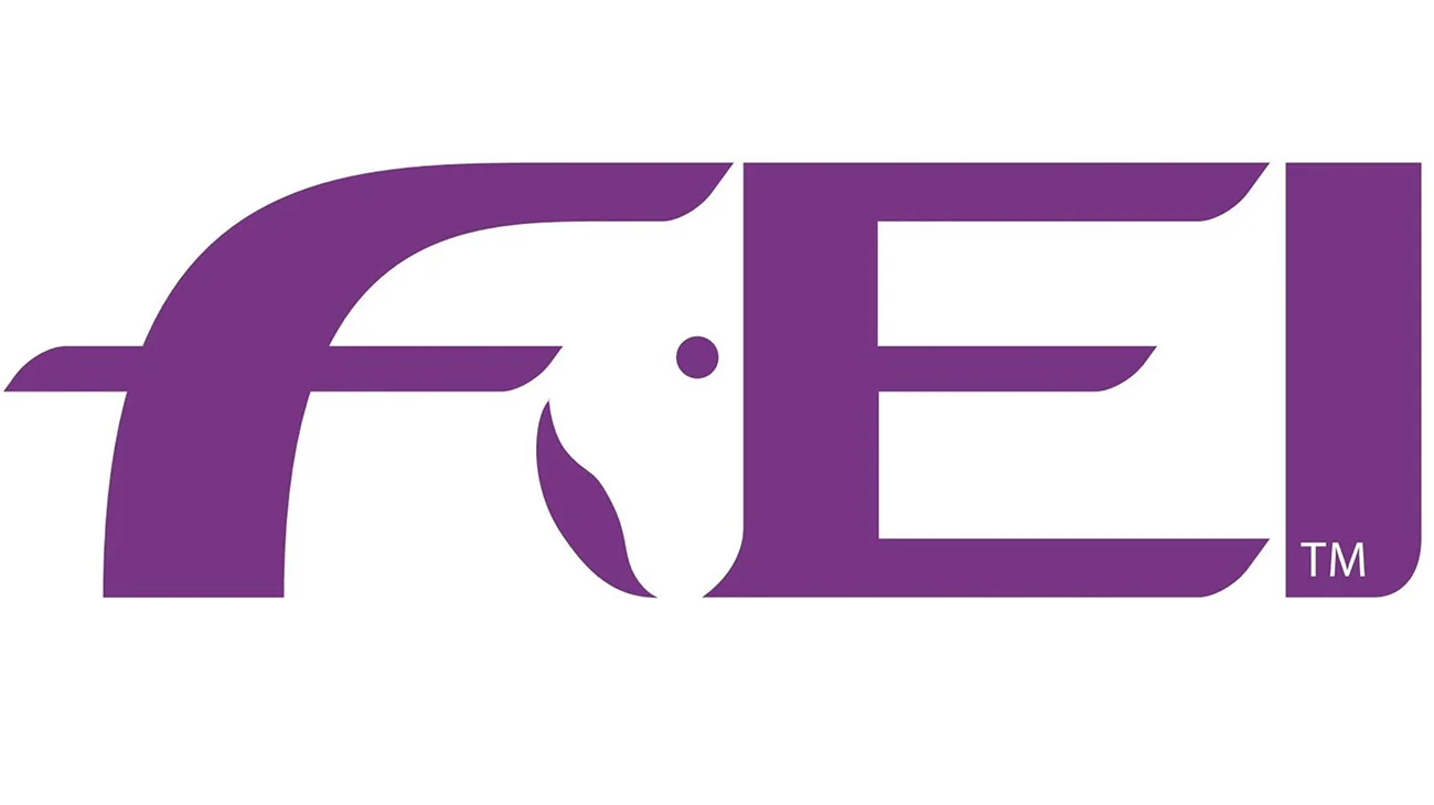 FEI logo