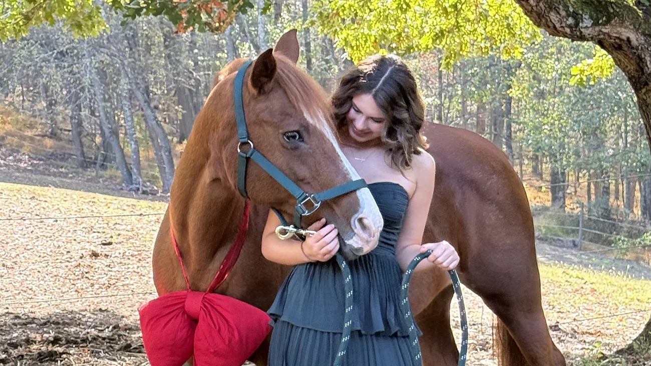 girls and horses slider