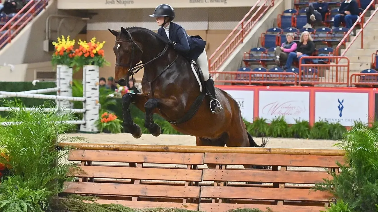 Olivia-Sweetnam slider